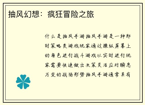 抽风幻想：疯狂冒险之旅