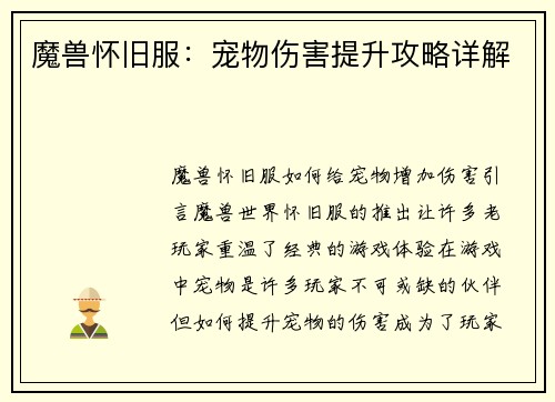魔兽怀旧服：宠物伤害提升攻略详解